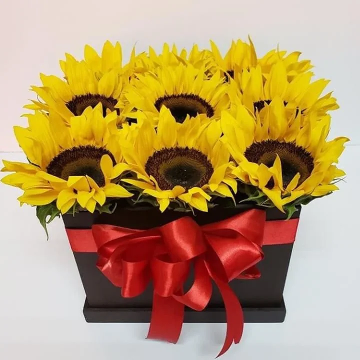 Caja cuadrada de girasoles a domicilio en Cali