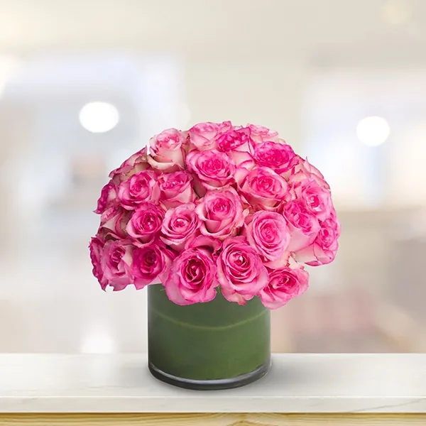 Rosas preservadas en cúpula de cristal caja de lujo Cali